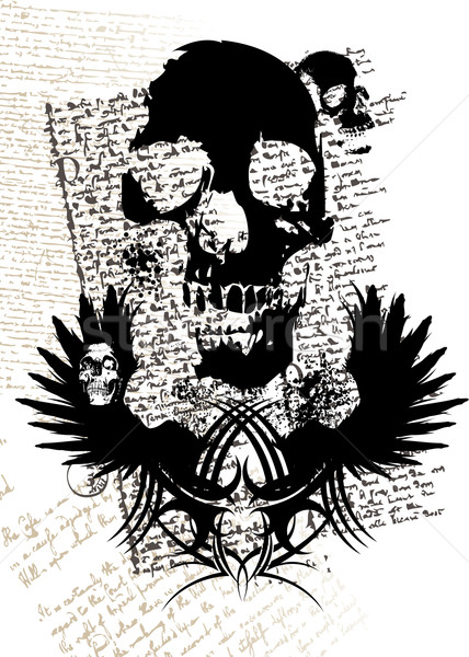 gothic skull Stock photo © nicemonkey