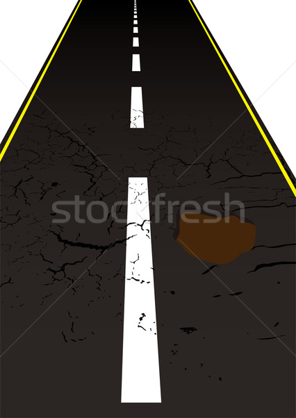 road pot hole Stock photo © nicemonkey