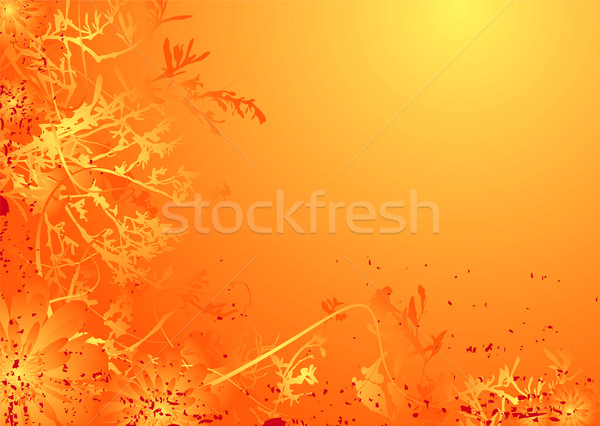 floral mellow orange Stock photo © nicemonkey