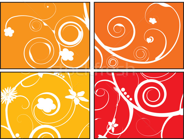 floral orange burst Stock photo © nicemonkey