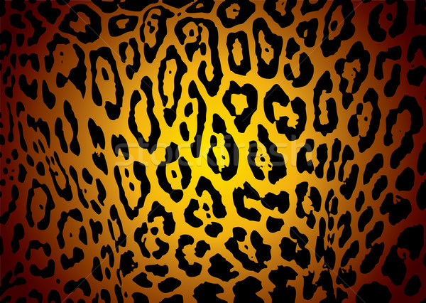 Jaguar pelle illustrato giallo nero giaguaro Foto d'archivio © nicemonkey