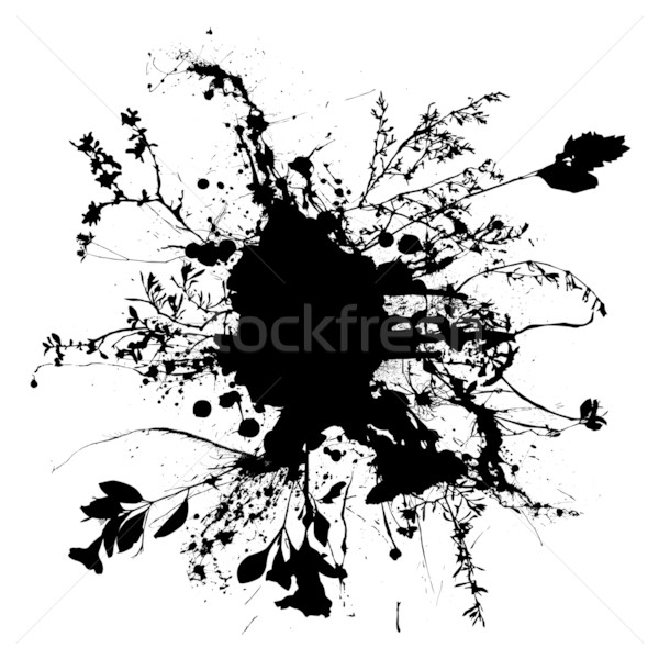 Foto stock: Floral · nosso · spray · preto · e · branco · abstrato · caneta
