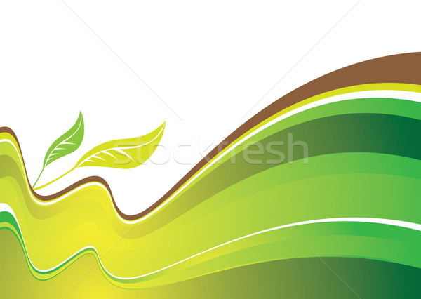 Natuurlijke heuvels groene abstract twee bladeren Stockfoto © nicemonkey