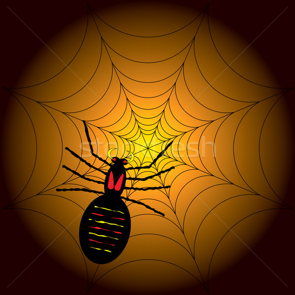 halloween spider Stock photo © nicemonkey