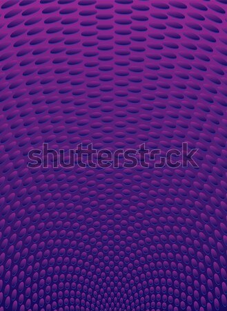 purple radiate Stock photo © nicemonkey