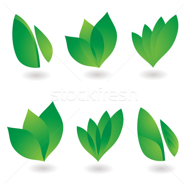 leaf icon Stock photo © nicemonkey
