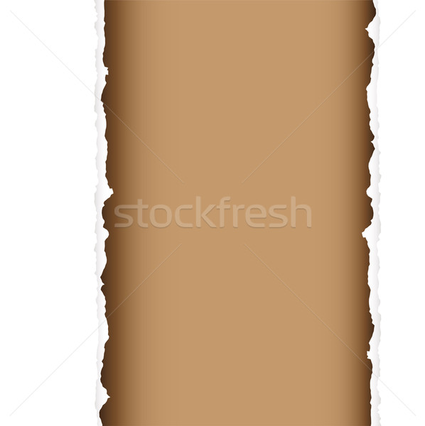 brown tear divide Stock photo © nicemonkey