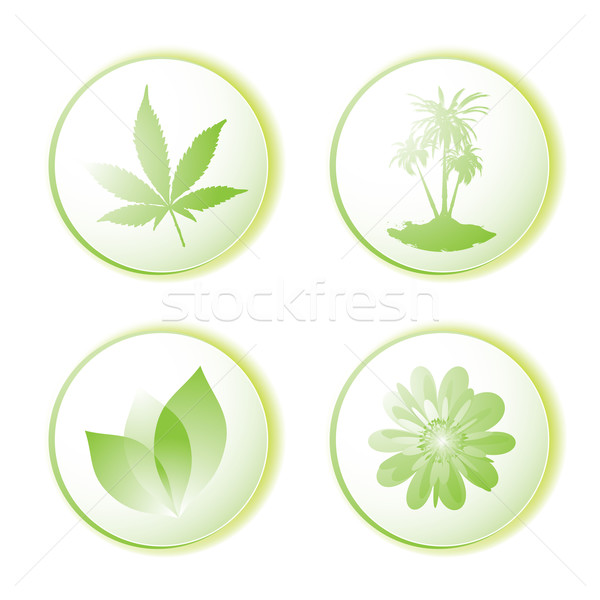 Symbol Blatt grünen Palme Stock foto © nicemonkey