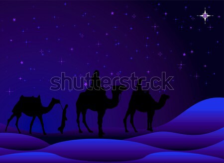 Három hagyományos karácsony jelenet tevék csillagos ég Stock fotó © nicemonkey