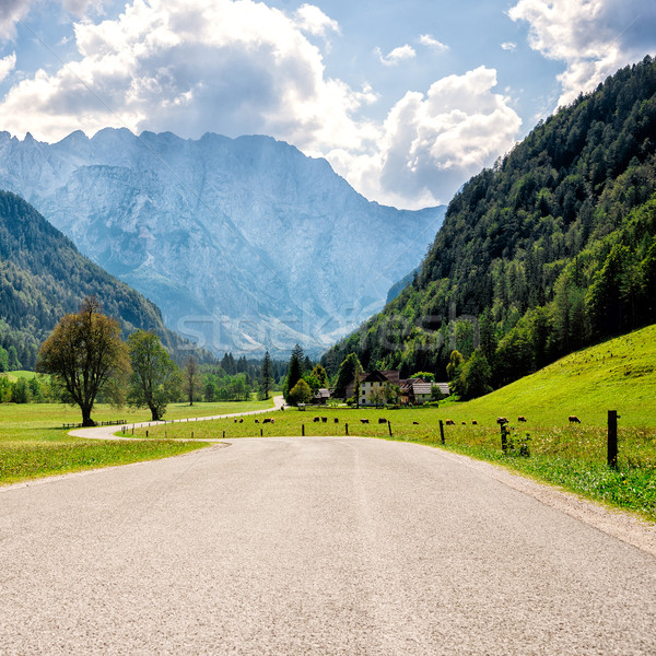 road through Alps. Stock photo © Nickolya