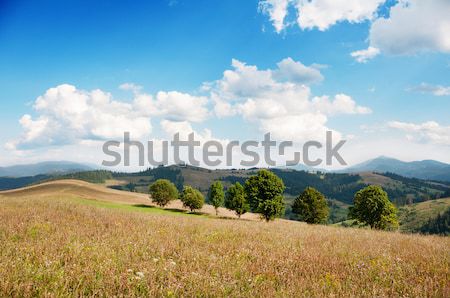 Landscape of hills and mountains Stock photo © Nickolya