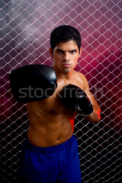 MMA Stock photo © nickp37