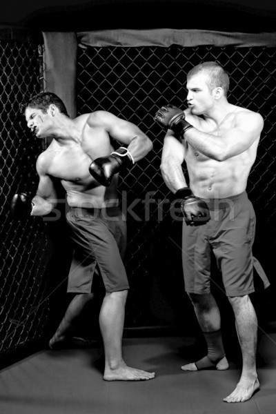 MMA Stock photo © nickp37