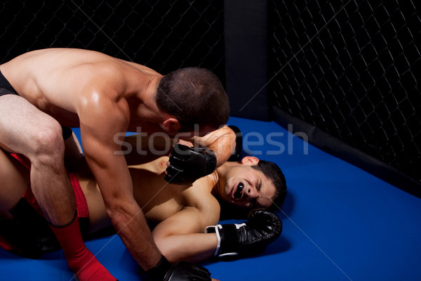 Gemengd vechten grond sport spier strijd Stockfoto © nickp37