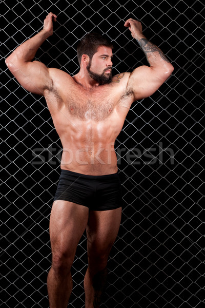 健美 冒充 鏈 鏈接 男子 身體 商業照片 © nickp37