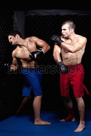 Wrestling działania czarny sportu niebieski Zdjęcia stock © nickp37