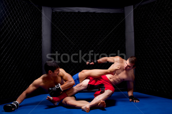 MMA Stock photo © nickp37
