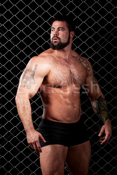 Bodybuilder posiert Kette Link Mann Körper Stock foto © nickp37