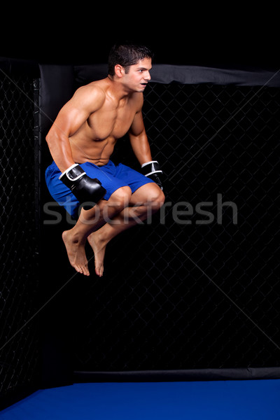 MMA Stock photo © nickp37