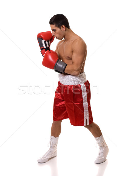 Boxer in red trunks. Studio shot over white. Stock photo © nickp37