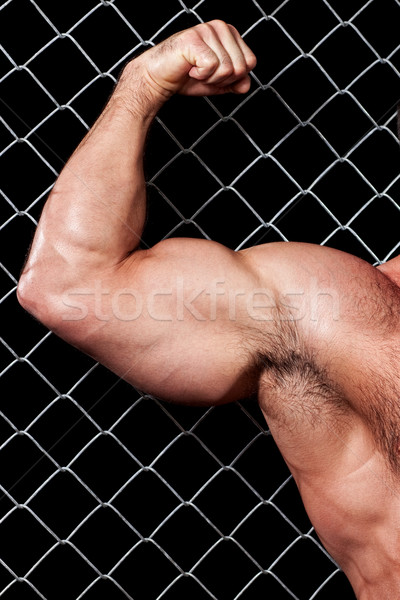 Bodybuilder posing in front of chain link. Stock photo © nickp37