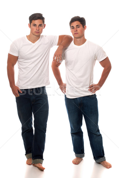 隨便 雙胞胎 雙胞胎 兄弟 白 商業照片 © nickp37