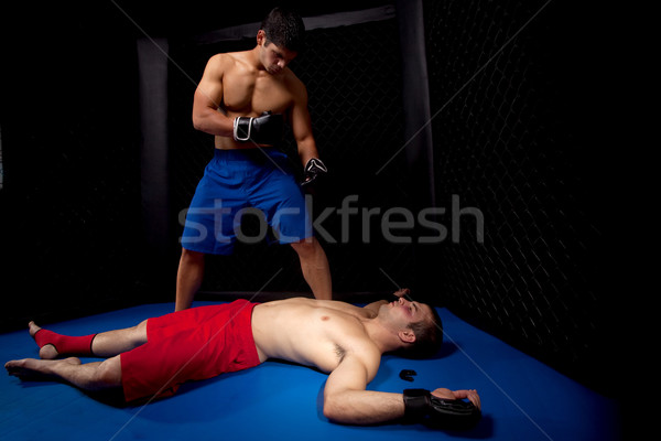 Mieszany sportowe mężczyzn ból zwycięstwo bokser Zdjęcia stock © nickp37