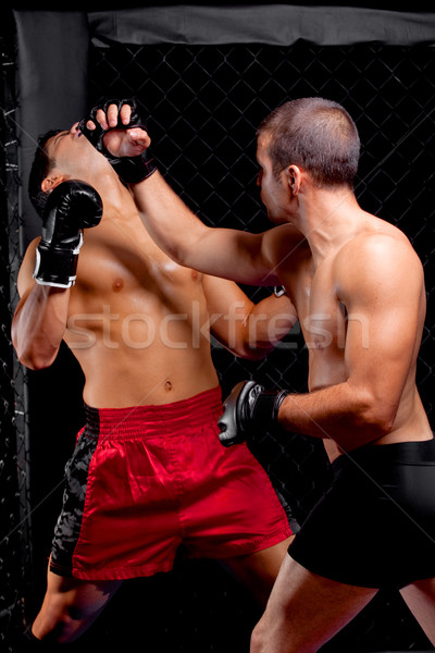 Stock photo: MMA