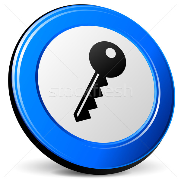 Vetor 3D chave ícone azul branco Foto stock © nickylarson974