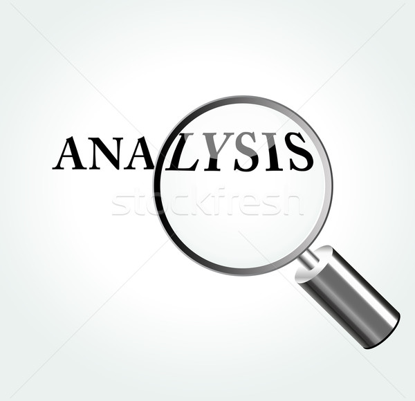 Vector analysis concept Stock photo © nickylarson974