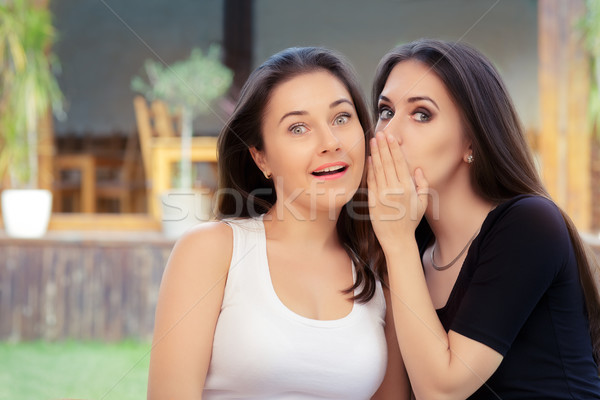 Zwei best friend Mädchen flüstern Geheimnis junge Frauen Stock foto © NicoletaIonescu