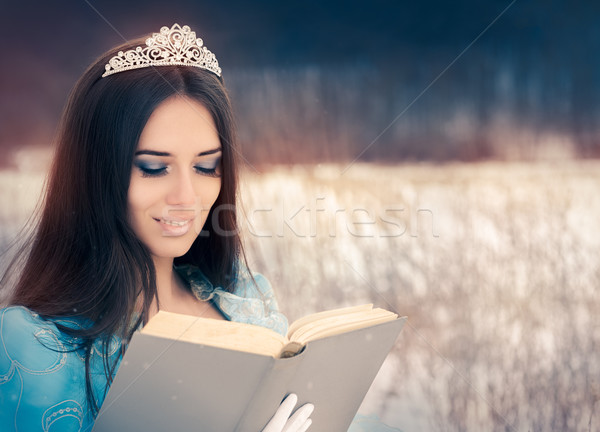 Stockfoto: Mooie · sneeuw · koningin · lezing · boek · portret