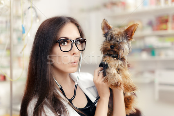 Sorpreso veterinario femminile medico cute cane Foto d'archivio © NicoletaIonescu