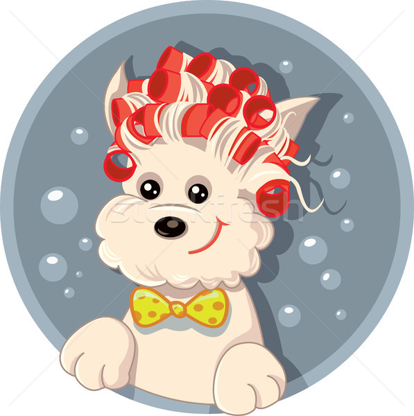 Funny Dog with Hair Rollers Pet Salon Vector Cartoon Stock photo © NicoletaIonescu