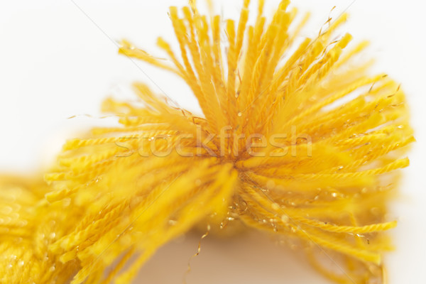 Macro Yellow Yarn Tassel Stock photo © NicoletaIonescu