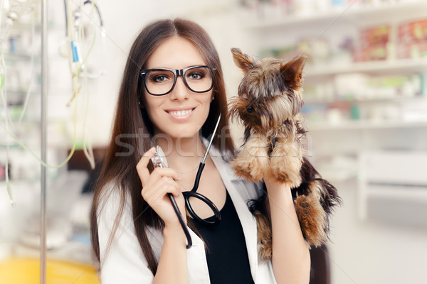 Giovani veterinario femminile medico cute cane Foto d'archivio © NicoletaIonescu