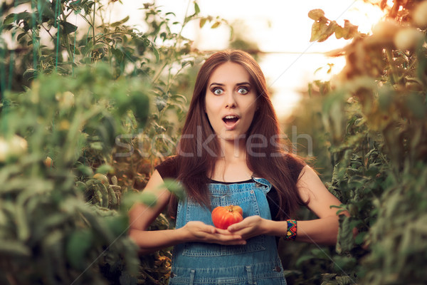 Surprised Farm Girl Holding a Tomato inside a Greenhouse Stock photo © NicoletaIonescu