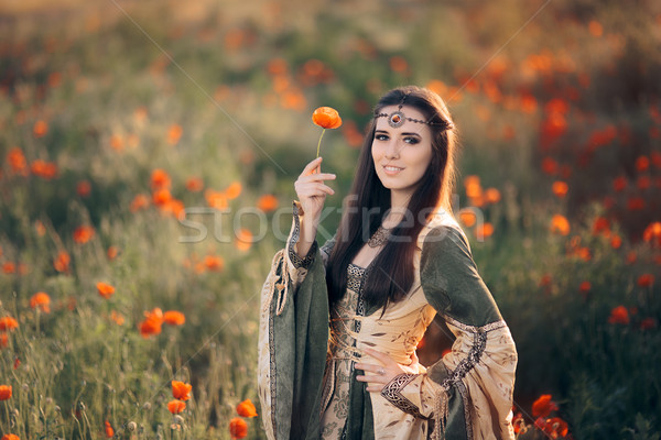 Medieval Princess in a Field of Poppies Stock photo © NicoletaIonescu