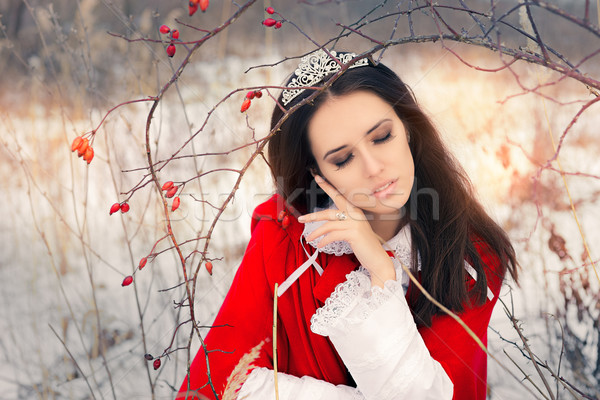 Inverno princesa ramo retrato belo conto de fadas Foto stock © NicoletaIonescu
