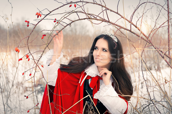 Inverno principessa ramo ritratto bella fiaba Foto d'archivio © NicoletaIonescu