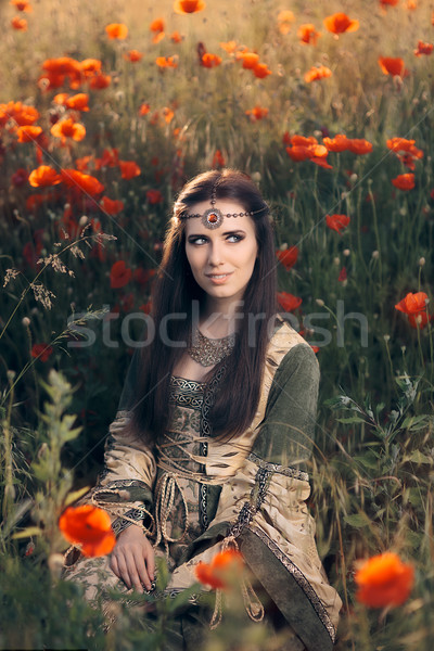 Medieval prinţesă câmp maci frumos regină Imagine de stoc © NicoletaIonescu