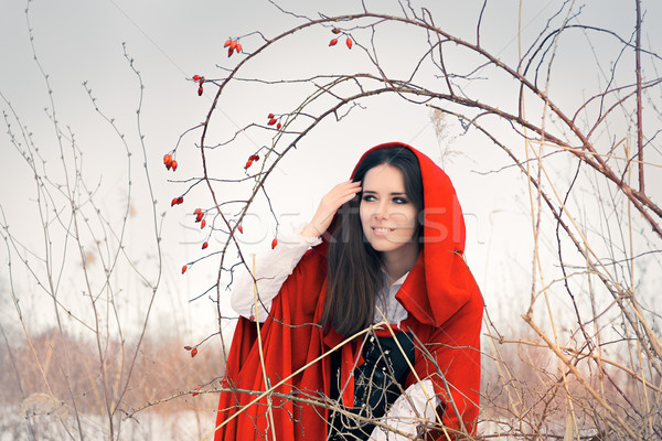 Winter Princess with Rosehip Branch Stock photo © NicoletaIonescu