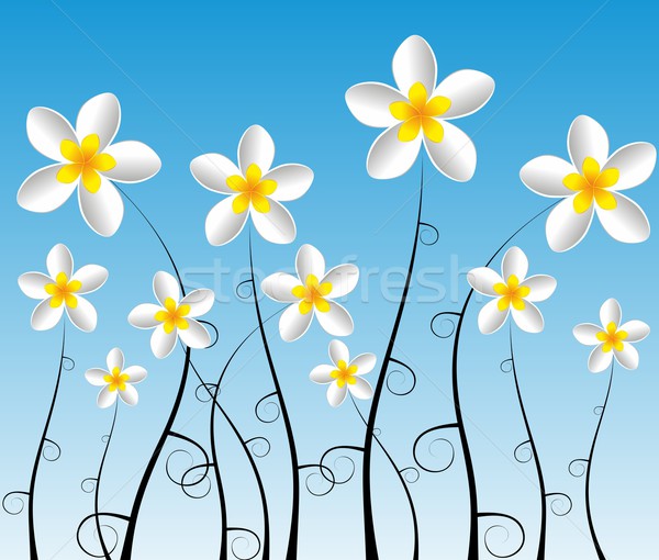 Fleurs Creative résumé décoratif fleur nature [[stock_photo]] © nicousnake