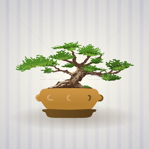 Bonsai copac vector artă asiatic ilustrare Imagine de stoc © nikdoorg