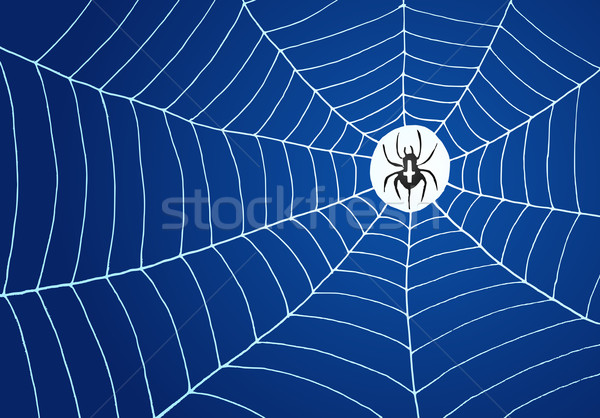 Spider and Net Illustration Stock photo © nikdoorg