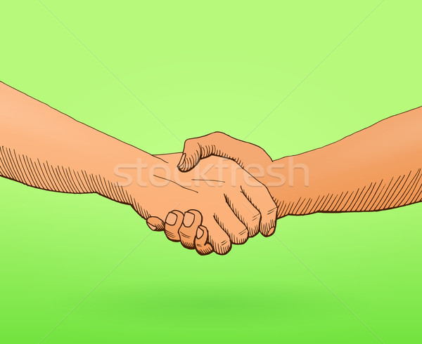 Foto d'archivio: Stringe · la · mano · illustrazione · accordo · verde · business