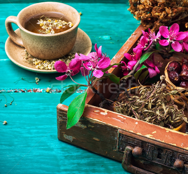 tea on medicinal herbs Stock photo © nikolaydonetsk