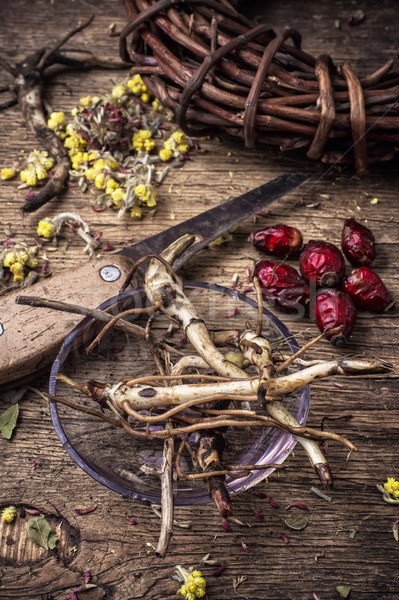 herbal medicine Stock photo © nikolaydonetsk