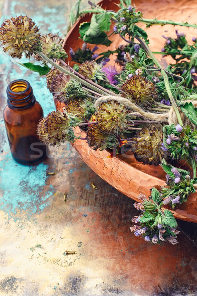Still life with harvest medicinal herbs Stock photo © nikolaydonetsk