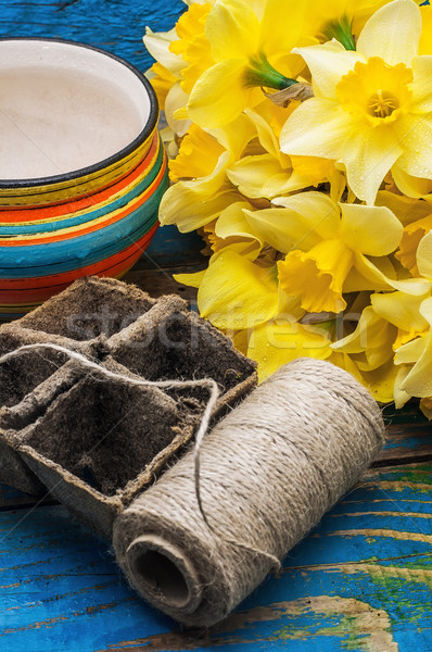 bouquet of blooming April daffodils Stock photo © nikolaydonetsk